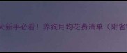 萨摩耶犬新手必看养狗月均花费清单附省钱攻略