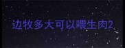 边牧多大可以喂生肉