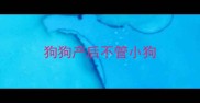 狗狗产后不管小狗