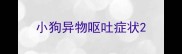 小狗异物呕吐症状