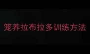笼养拉布拉多训练方法