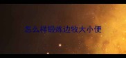 怎么样锻炼边牧大小便