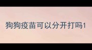 狗狗疫苗可以分开打吗