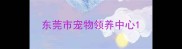 东莞市宠物领养中心