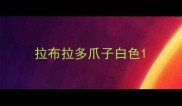 拉布拉多爪子白色
