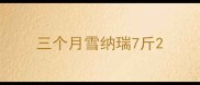 三个月雪纳瑞7斤
