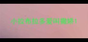 小拉布拉多爱叫撒娇