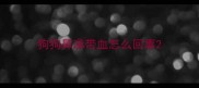 狗狗鼻涕带血怎么回事