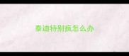 泰迪特别疯怎么办