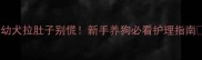 哈士奇幼犬拉肚子别慌新手养狗必看护理指南