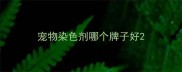 宠物染色剂哪个牌子好