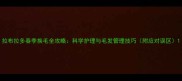 拉布拉多春季换毛全攻略科学护理与毛发管理技巧附应对误区