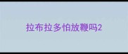 拉布拉多怕放鞭吗