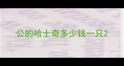 公的哈士奇多少钱一只