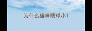 为什么猫咪眼球小