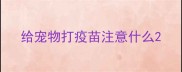 给宠物打疫苗注意什么