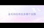金毛和拉布拉多哪个安静