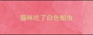 猫咪吃了白色蛆虫