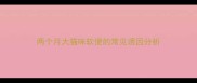 两个月大猫咪软便的常见诱因分析