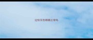 边牧灰色眼睛正常吗