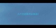 几个月的狗可以美容
