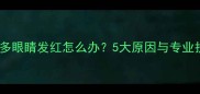 拉布拉多眼睛发红怎么办5大原因与专业护理全