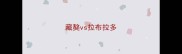 藏獒vs拉布拉多