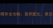 六个月大哈士奇科学喂养全攻略营养配比禁忌食物与成长管理技巧