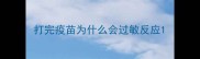 打完疫苗为什么会过敏反应