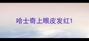 哈士奇上眼皮发红