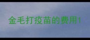 金毛打疫苗的费用