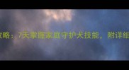 拉布拉多训练看家全攻略7天掌握家庭守护犬技能附详细训练步骤与注意事项