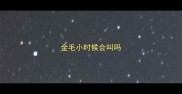 金毛小时候会叫吗