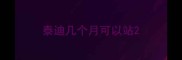 泰迪几个月可以站