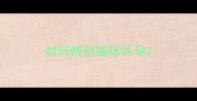 如何辨别猫咪怀孕
