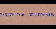 新手必看黄金边牧毛色全如何挑到健康又帅气的毛色
