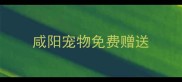 咸阳宠物免费赠送