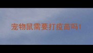 宠物鼠需要打疫苗吗