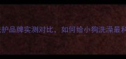 最新指南8款天然洗护品牌实测对比如何给小狗洗澡最科学附选品避坑清单