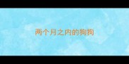 两个月之内的狗狗