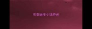 灰泰迪多少钱寿光