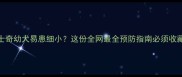 哈士奇幼犬易患细小这份全网最全预防指南必须收藏