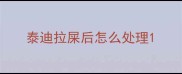 泰迪拉屎后怎么处理