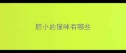 胆小的猫咪有哪些