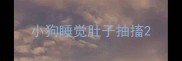 小狗睡觉肚子抽搐