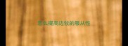 怎么提高边牧的服从性