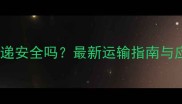 宠物猫快递安全吗最新运输指南与应急措施