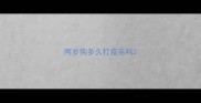 两岁狗多久打疫苗吗