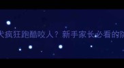 拉布拉多幼犬疯狂跑酷咬人新手家长必看的防咬训练指南