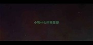 小狗什么时候排便